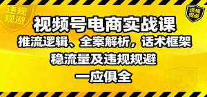 视频号电商实战课：推流逻辑、全案解析，话术框架，稳流量及违规规避等-天韵资源网