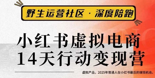 小红书虚拟电商14天变现训练营3.0，​虚拟产品，2025年普通人在小红书最后的搞钱机会-天韵资源网