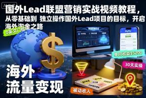 国外Lead联盟营销实战视频教程，从零基础到独立操作国外Lead项目的目标，开启海外淘金之路-天韵资源网