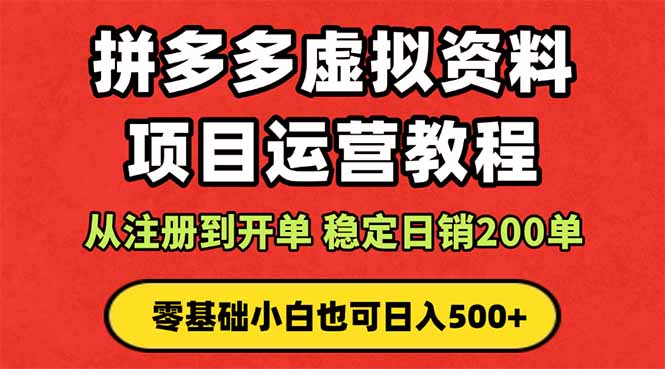 拼多多开店运营课程： 蓝海变现玩法，轻松实现睡后收入 零基础小白也可…-天韵资源网