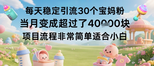 每天稳定引流30个宝妈粉当月变成超过了1W+项目流程非常简单适合小白-天韵资源网