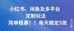 小红书、闲鱼及多平台定制玩法简单粗暴！每天稳定5张-天韵资源网