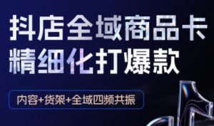 金戈·抖店爆单陪跑课-抖音小店爆单陪跑(更新10月)-天韵资源网