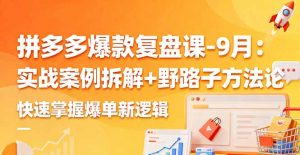 拼多多爆款复盘课-9月：实战案例拆解+野路子方法论，快速掌握爆单新逻辑-天韵资源网