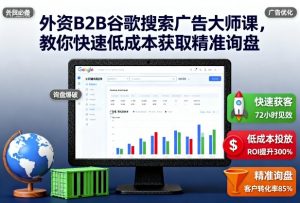 外资B2B谷歌搜索广告大师课,教你快速低成本获取精准询盘-天韵资源网