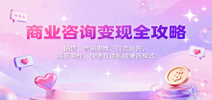 商业咨询变现全攻略：销售、营销思维，引流锁客，海报制作，快速打造私域赚钱模式-天韵资源网