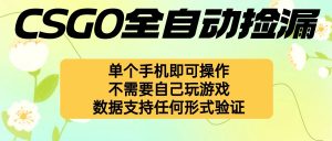 自动挂机捡漏,不用自己挂机不用玩游戏,一个手机即可操作。新手小白轻…-天韵资源网