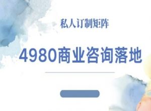 4980商业咨询师落地课程-ip运营高客单教程-天韵资源网
