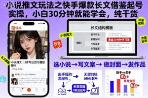 小说推文玩法之快手爆款长文借鉴起号实操，小白30分钟就能学会，纯干货-天韵资源网
