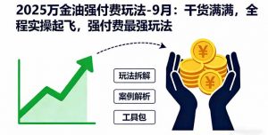 2025万金油强付费玩法-9月：干货满满，全程实操起飞，强付费最强玩法-天韵资源网