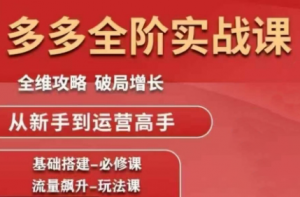 大炮·拼多多全阶实战课程(更新10月)-天韵资源网