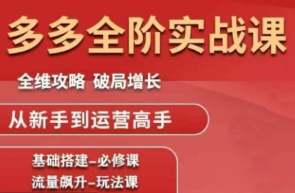大炮·拼多多全阶实战课程(更新10月)-天韵资源网