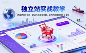 独立站实战教学，跨境经营全攻略，助您告别流量依赖，掌握跨境经营的终极奥-天韵资源网