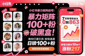 小红书暴力矩阵起号，教你打通引流-变现速通，日锁100+粉，破流量黑盒-天韵资源网