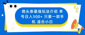 微头条最强玩法介绍一个号日入5张+只要一部手机适合小白-天韵资源网