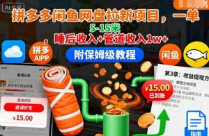 拼多多闲鱼网盘拉新项目，一单5-15米，睡后收入+管道收入1w+(附保姆级教程)-天韵资源网