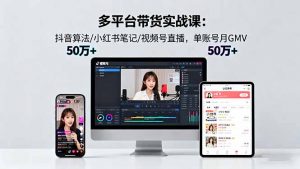 多平台带货实战课18.0：抖音算法/小红书笔记/视频号直播，单账号月GMV50w+-天韵资源网