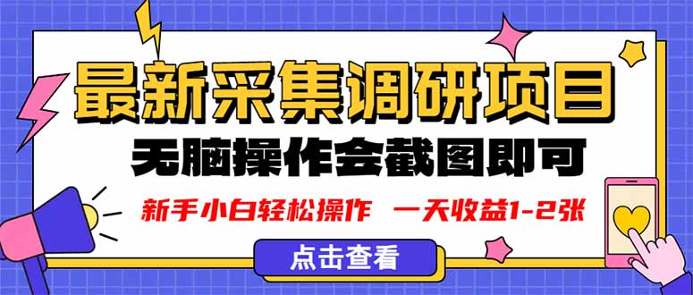 新版采集调研项目，截图上传即可，无脑操作，日收益1-2张-天韵资源网