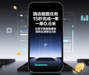 酒店截图任务，15秒完成一单，一单0.6米，任务不限量随便接，矩阵拉满单日3张【揭秘】-天韵资源网