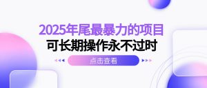 2025年尾最暴力的项目可长期操作永不过时-天韵资源网