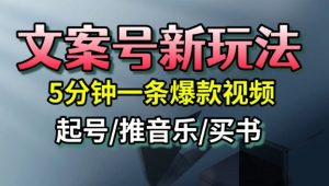 文案号新玩法，5分钟一条爆款视频，流量高，起号快，多方位变现-天韵资源网