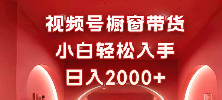 视频号橱窗带货，小白轻松入手，日入2000+-天韵资源网