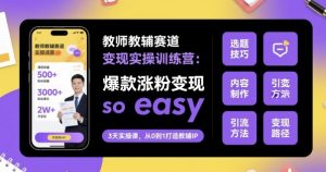 教师教辅赛道变现实操训练营，爆款涨粉变现so easy-天韵资源网