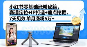 小红书零基础涨粉秘籍,赛道定位+IP打造+痛点挖掘,7天见效 单月涨粉5万+-天韵资源网