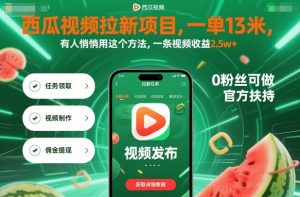 西瓜视频拉新项目，一单13米，有人悄悄用这个方法，一条视频收益2.5w+(附详细教程)-天韵资源网