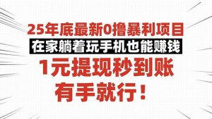 25年底最新0撸暴利项目,在家躺着玩手机也能赚钱,1元提现秒到账,有手…-天韵资源网