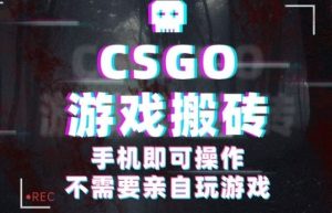 CSGO游戏挂G捡漏，单日扫货5张+，年底小高峰上车可吃肉，手机即可操作，兼职副业创业网创【揭秘】-天韵资源网