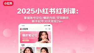 2025小红书红利课：掌握账号定位/爆款内容/变现路径，新手起号30天变现2w+-天韵资源网