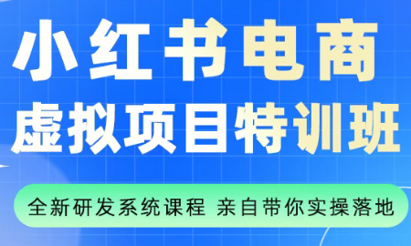 陆明明·小红书虚拟项目特训班(更新9月)-天韵资源网