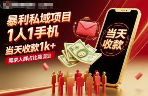 暴利私域项目1人1手机，当天收款1k+，需求人群占比高，当天就能见到钱-天韵资源网