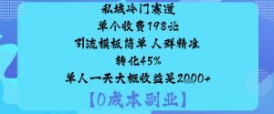 私域冷门赛道:单个收费198米引流模板简单人群精准转化45%单人一天大概收益是1k+-天韵资源网
