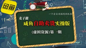 麦子甜咸鱼自助卖货实操版(虚拟资源)一个会自动搞钱的机器-天韵资源网