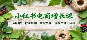 小红书电商增长课:AI创作、打法策略、商家自营,爆款与转化秘籍-天韵资源网