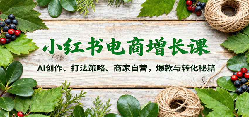 小红书电商增长课：AI创作、打法策略、商家自营，爆款与转化秘籍-天韵资源网