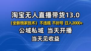 淘宝无人直播13.0，公域私域技术，不封号，不违规 布局下半年旺季赛道，日入2000+-天韵资源网