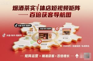 烟酒茶实体店短视频矩阵百倍获客导航图-天韵资源网