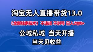 淘宝无人直播13.0，公域私域技术，不封号，不违规布局下半年旺季赛道，日入1K+(独家技术)【揭秘】-天韵资源网