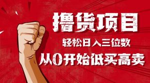 手把手教你撸货，从0开始低买高卖，小白轻松实现日入三位数!!!-天韵资源网