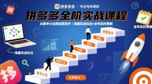 拼多多全阶实战课程,从新手小白到运营高手,海量实战玩法+全年实时更新【2025年10月更新】-天韵资源网