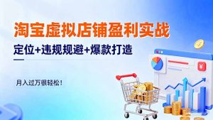 淘宝虚拟店铺盈利实战：定位+违规规避+爆款打造，月入过万很轻松！-天韵资源网