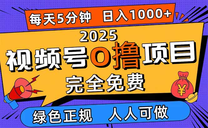 2025视频号0撸项目,5分钟一个号,日入1000+,人人可做-天韵资源网