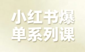 小红书爆单系列课,聚焦小红书电商全链路增长-天韵资源网