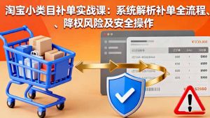 淘宝小类目补单实战课：系统解析补单全流程、降权风险及安全操作-天韵资源网