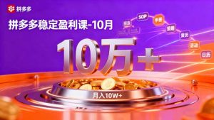 拼多多稳定盈利课-10月,强付费SOP+微付费高投产+活动矩阵,单店月入10万+-天韵资源网