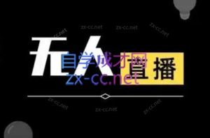 宝子哥·无人直播-非实时防风技术(更新10月)-天韵资源网