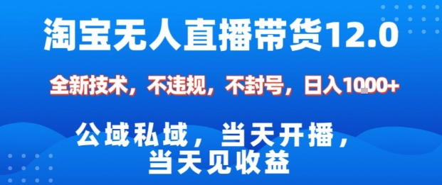 淘宝无人直播12.0，公域私域技术，不封号，不违规布局双十一流量风口，日入1k(独家技术)【揭秘】-天韵资源网